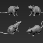 Rat 2 - Standing - Middle