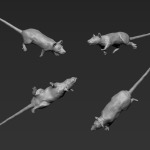 Rat 6 - Dead - Straight