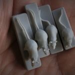 Rats - The Parts in Resin - 4