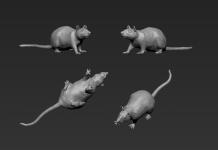Single Trench Rat No. 1 - Rattus norvegicus 1:16 / 120mm 