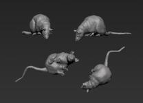 Single Trench Rat No. 4 - Rattus norvegicus 1:16 / 120mm 