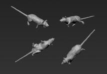 Single Trench Rat No. 6 - Rattus norvegicus 1:16 / 120mm 