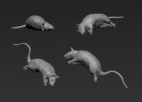 Single Trench Rat No. 8 - Rattus norvegicus 1:16 / 120mm 