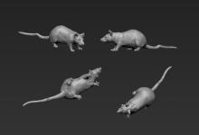 Single Trench Rat No. 10 - Rattus norvegicus 1:16 / 120mm 
