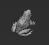 1:16 / 120mm Frog