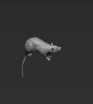 Single Trench Rat No. 16 - Rattus norvegicus 1:16 / 120mm 