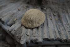 British Mk 1 Helmet with Sandbag Cover